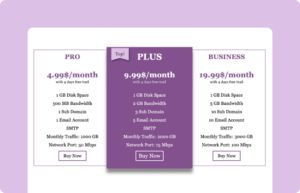 Drag and Drop Pricing Table